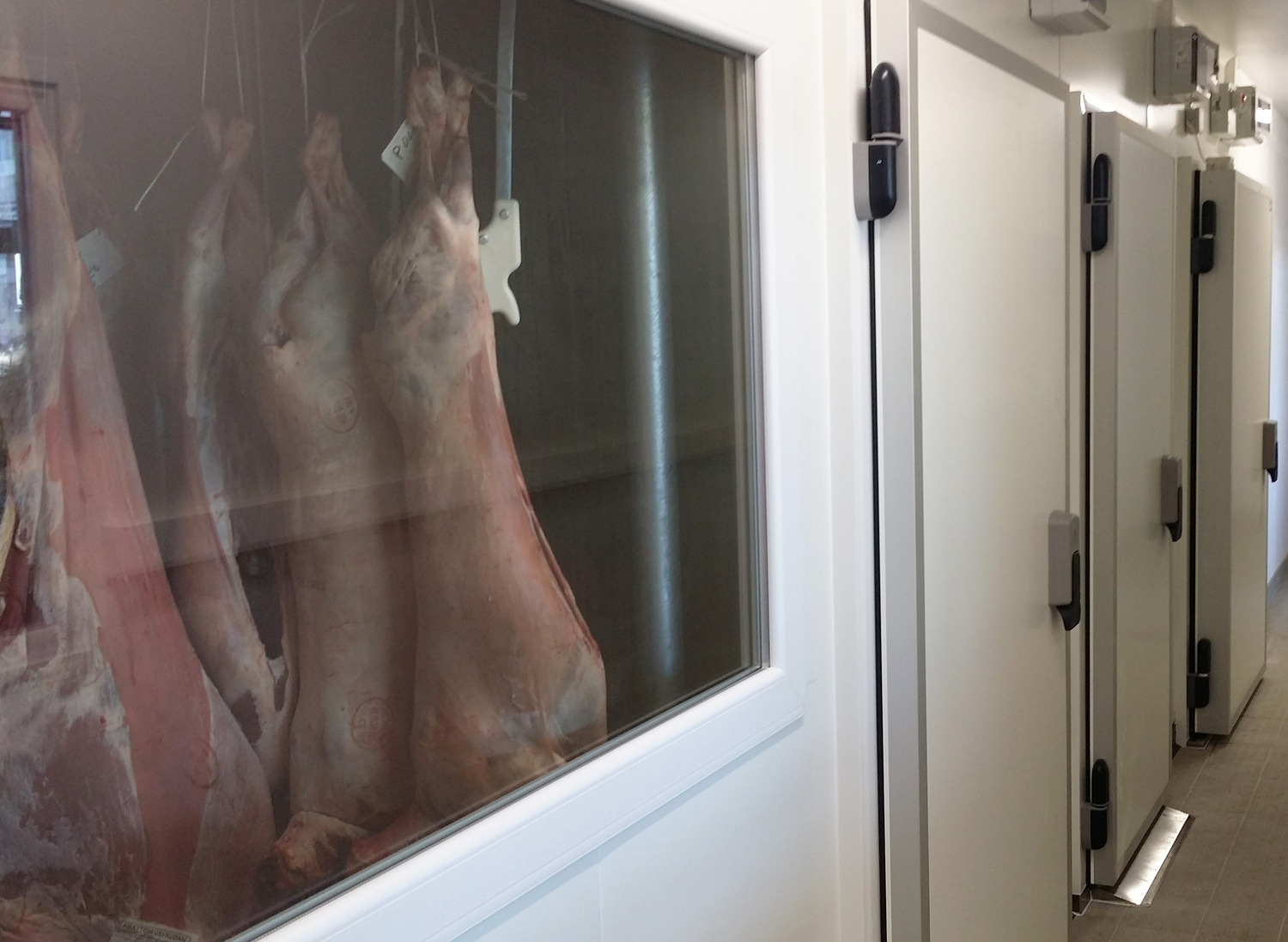 Laboratoire de boucherie/charcuterie avec chambres froides positives et négatives à Toulouse. Portes pivotantes isothermes et châssis vitrés posés sur des panneaux sandwich PIR.
